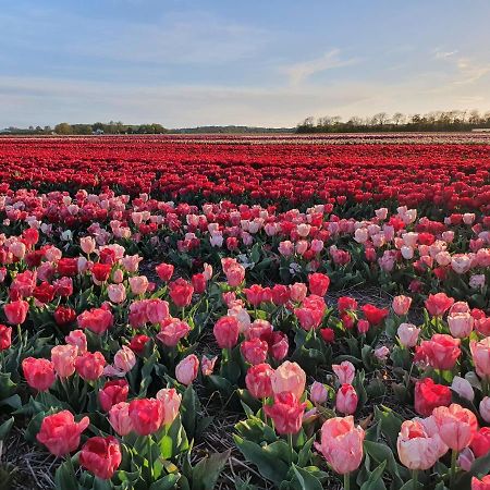 Buitenhuis Egmond 埃赫蒙德·安登胡夫 外观 照片